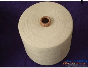 供應  優質竹纖維 賽絡紡竹纖維 B21SKAA工廠,批發,進口,代購