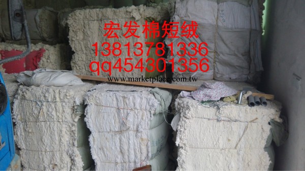 棉短絨含小化工廠,批發,進口,代購