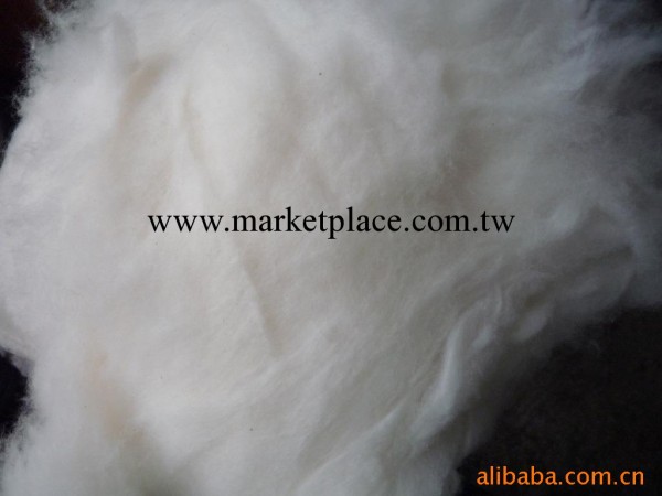 廢棉 棉花 化纖 滌綸 黏膠 在生棉花批發・進口・工廠・代買・代購