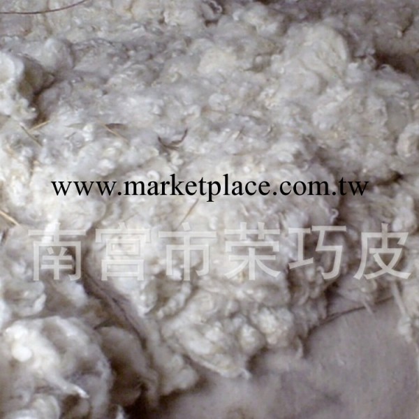 供應批發各種規格支數羊毛洗凈毛 毛氈紡紗染色充填洗凈毛直銷工廠,批發,進口,代購