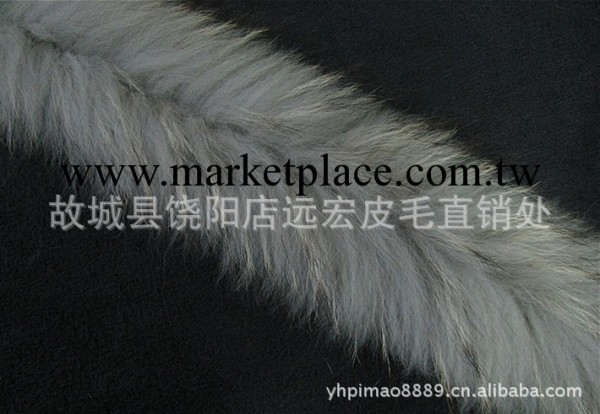 常年供應帽條 貉子狐貍毛條工廠,批發,進口,代購