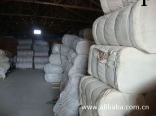 批發供應熱銷高品質滌棉坯佈（圖）工廠,批發,進口,代購