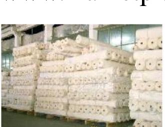 廠傢低價供210T高檔白坯佈料批發 優質滌絲紡白坯佈（圖）批發・進口・工廠・代買・代購
