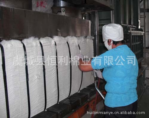 現貨批發出絨好紡高支紗四級皮棉優質棉花100噸工廠,批發,進口,代購