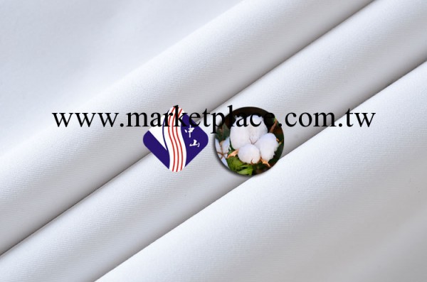常規工作服職業裝白色斜紋 高檔襯衫麵料 SL1004-6#  襯衣麵料工廠,批發,進口,代購