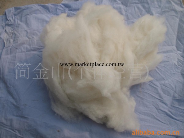 大量供應白色高質綿羊絨 新疆羊絨批發・進口・工廠・代買・代購