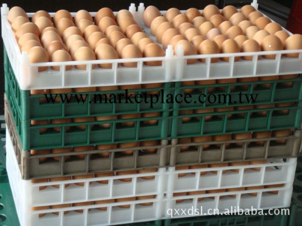 滄州雞蛋周轉托盤工廠,批發,進口,代購