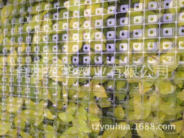 透明PVC毯式育秧盤 水稻648孔毯式秧盤工廠,批發,進口,代購