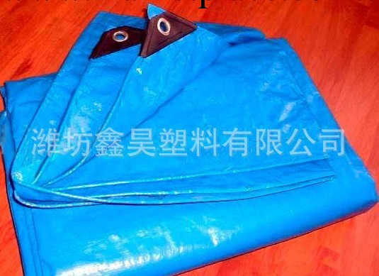 寧波上海青島生產廠傢低價供應防曬防水防塵篷佈PP/PE Tarpaulin工廠,批發,進口,代購
