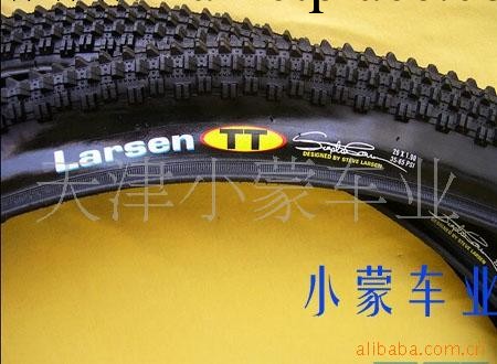 山地車配件  MAXXIS Larsen TT外胎批發・進口・工廠・代買・代購