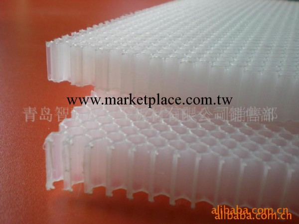 塑料蜂窩 隔音蜂窩板 塑料蜂窩復合板材(圖)工廠,批發,進口,代購