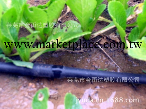 “金雨達”供應Φ16×0.6、0.8、1.0mm的內鑲式滴灌管批發・進口・工廠・代買・代購