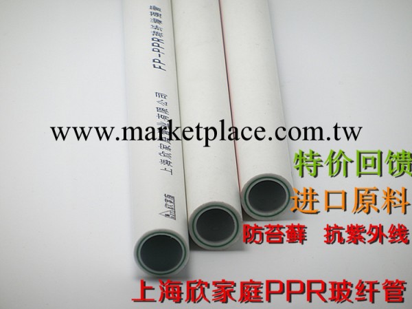 上海欣傢庭管 廠傢直供玻纖增強冷水管 PPR玻纖管 好品質保用50年工廠,批發,進口,代購
