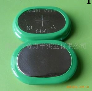 供應450mAh    1.2V鎳氫電池工廠,批發,進口,代購