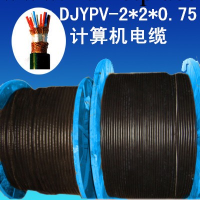 計算機電纜DJYPV-2*2*0.75現貨供應工廠,批發,進口,代購