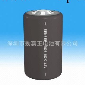 鋰亞ER14250S高溫電池耐高溫150度石油鉆井鉆頭智能設備電池工廠,批發,進口,代購