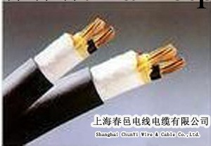 電纜線規格型號---耐火控制電纜 耐火電纜 NH-KVV NH-KVVP工廠,批發,進口,代購