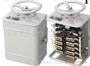 KT10-60J/5型交流凸輪控制器工廠,批發,進口,代購