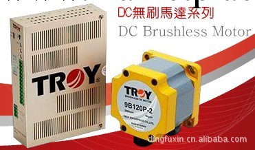 專業的9B200P-2泰映DC無刷馬達工廠,批發,進口,代購