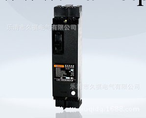 【廠傢供應】DZ15LE-100/4901 漏電斷路器工廠,批發,進口,代購