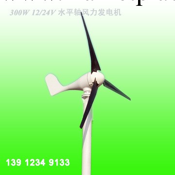【低價供應】優質水平軸輕型300W 風力發電機工廠,批發,進口,代購