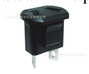 浙江琛瑞電子生產銷售 安全1PZ-8型 歐式 電源插座插口工廠,批發,進口,代購