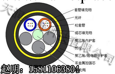 北京ADSS光纜廠傢，ADSS光纜分類，自承式ADSS光纜，架空光纜ADSS工廠,批發,進口,代購