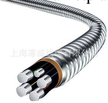 高低壓電線電纜   塑纜  YJV  YJHLV工廠,批發,進口,代購