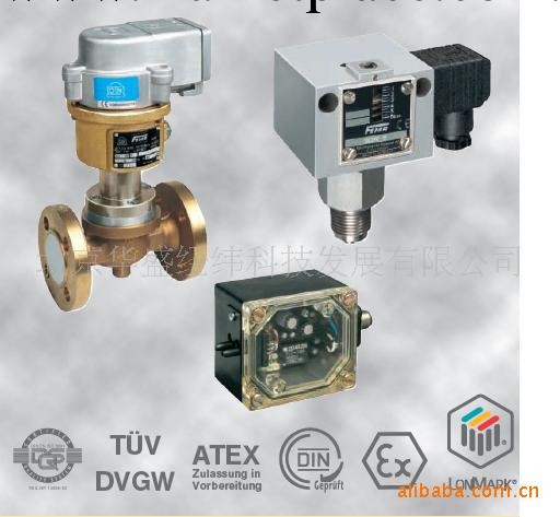 FEMA壓力、真空、差壓和溫度開關工廠,批發,進口,代購