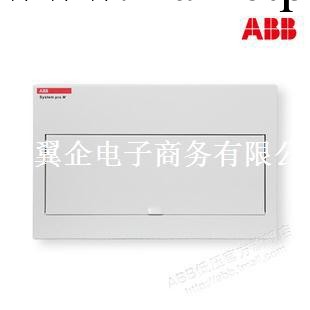 【ABB低壓配電箱】ACM-16-SNB;65300079工廠,批發,進口,代購