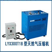 LYW300T天然氣壓縮機優惠中工廠,批發,進口,代購