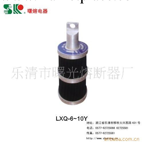 電壓互感器中性點用消諧器 LXQ-6-10Y工廠,批發,進口,代購
