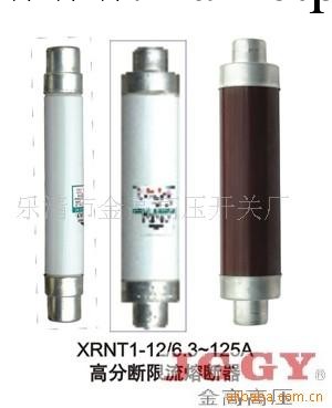 供應高壓熔斷器XRNT-12/6.3--200A工廠,批發,進口,代購