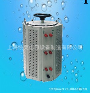 TDGC2J 單相調壓器 【熱銷】 接觸式調壓器工廠,批發,進口,代購