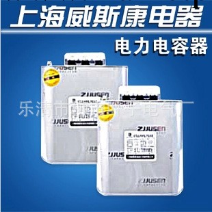 BSMJ0.4-2-3自愈式低電壓並聯電力電容器  上海威斯康工廠,批發,進口,代購