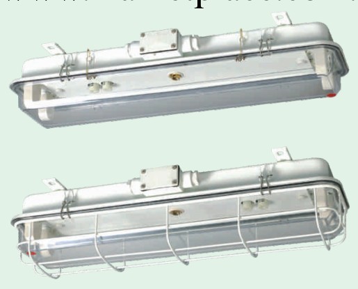 熒光艙頂燈JCY33-2EF工廠,批發,進口,代購