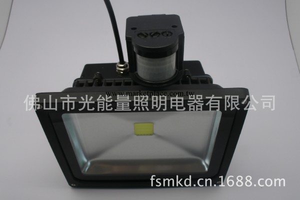 戶外防水LED投光燈20W 感應室外廣告燈工廠,批發,進口,代購