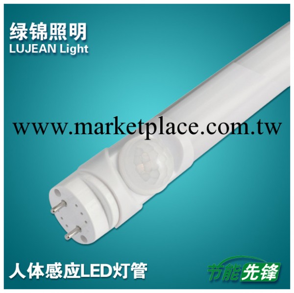 供應上海上海綠錦紅外感應燈管 紅外燈管,正品工廠,批發,進口,代購