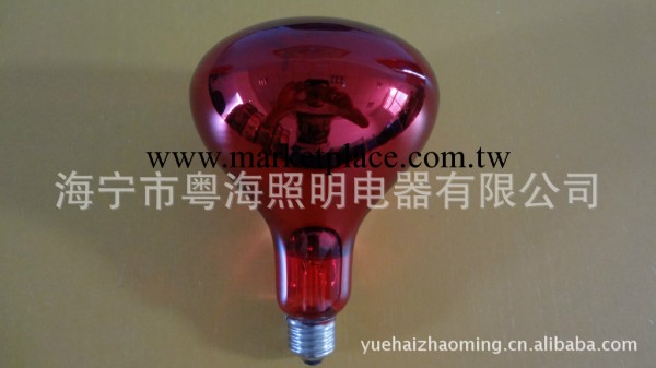 供應塗紅R125紅外線燈泡工廠,批發,進口,代購