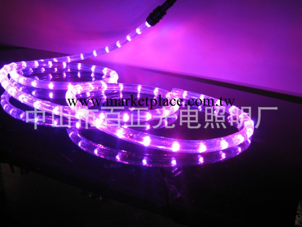 廠傢大量供應LED燈帶，LED彩虹管紫色、粉紅色燈帶【質量%保證】批發・進口・工廠・代買・代購
