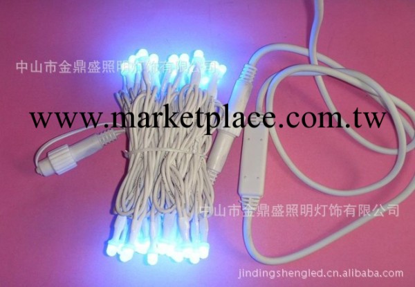 金鼎盛 出口高品質 LED防水燈串 LED 可連接式 量大從優工廠,批發,進口,代購