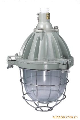 防爆節能燈dB53-200/65W工廠,批發,進口,代購