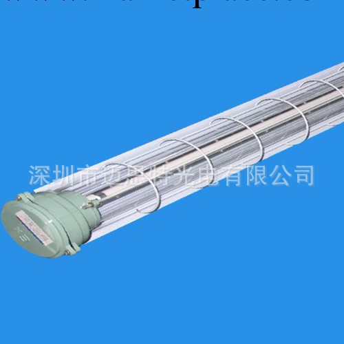 深圳廠傢直供 t5防爆燈具 IP65 可選單管/雙管工廠,批發,進口,代購