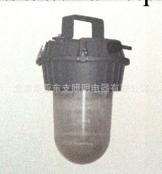 三防燈具ZY711-J70-150/tc用於多水、多塵、潮濕等環境工廠,批發,進口,代購