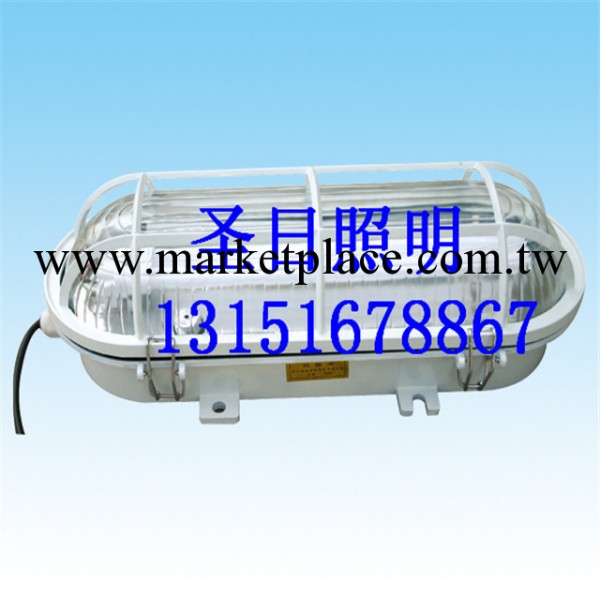 隧道燈Tunnel light,隧道燈具Tunnel lamps and lanterns工廠,批發,進口,代購