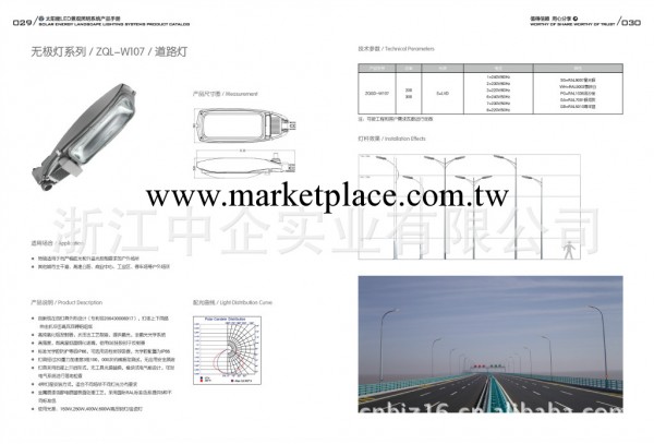 無極燈/ZQGD-W107/道路燈工廠,批發,進口,代購