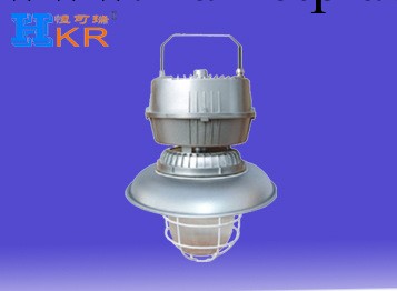 供應HKR-SFW-02高光效無極安全燈工廠,批發,進口,代購