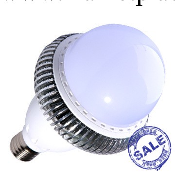 超級省電LED 球泡燈庭院燈/30W批發・進口・工廠・代買・代購