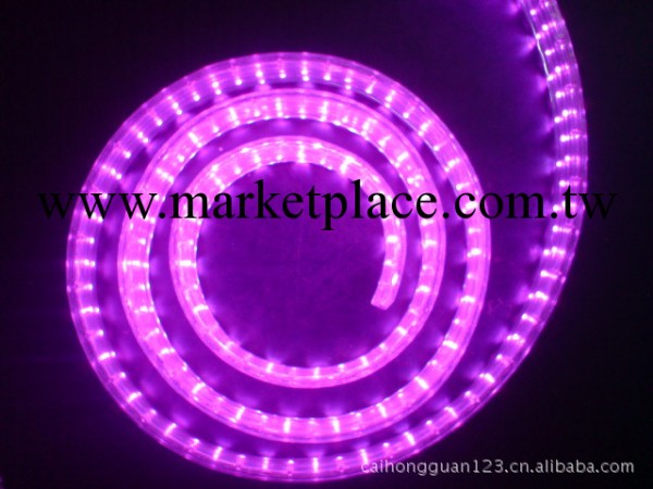 【宏彩】廠傢直銷LED彩虹管扁五線---紫色工廠,批發,進口,代購