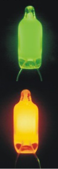 綠色氖燈 氖泡NE-2G插座專用工廠,批發,進口,代購
